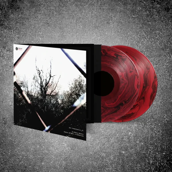 blended vinyl compilation 2026 | 2xLP