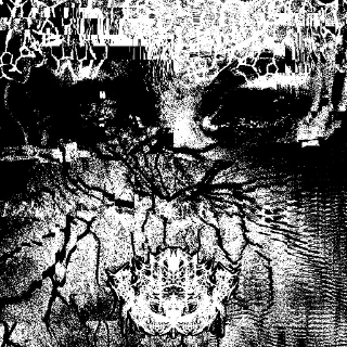 GENETIC MUTATION (INFECTED EXCERPT)